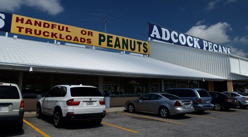 Adcock Pecans - Tifton GA 07-24-2014