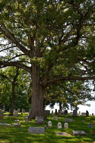 Hobbs Chapel Cemetery