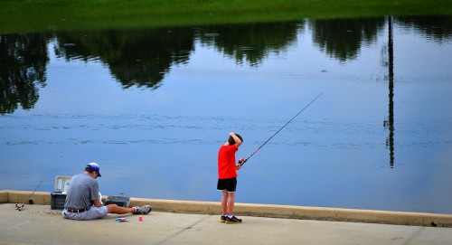 Kid Fishing Pond at North County Park 08-09-2014