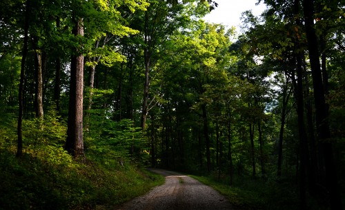 Lane to Ringgold Cemetery 08-24-2014_0167