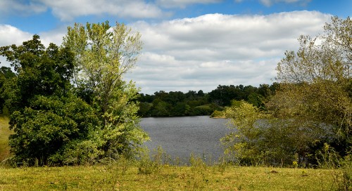 Cedar Lake 09-156-2014