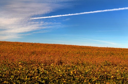 Stoddard County scenics 09-23-2014