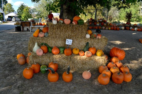 Perryville Pumpkin Farm 10-01-2014