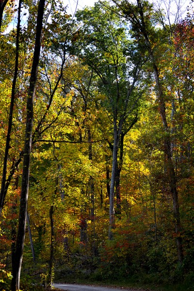 Tower Rock area 10-19-2014