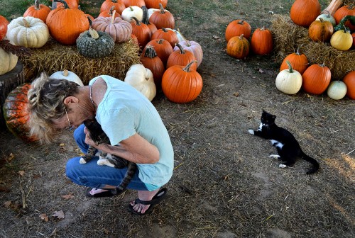 Perryville Pumpkin Farm 10-01-2014