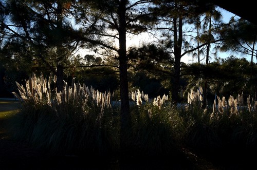 South Carolina rest area 11-11-2014