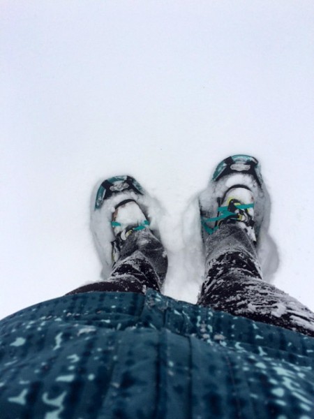 Snowshoes