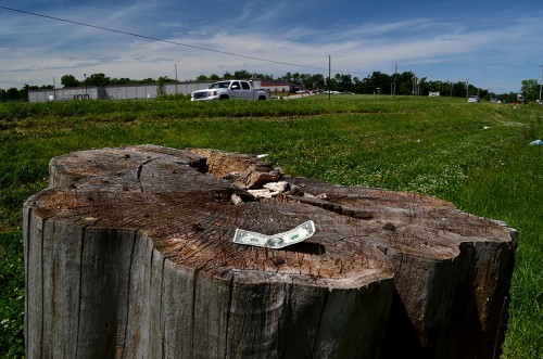 Hwy 61 stumps Jackson 05-23-2015_7115