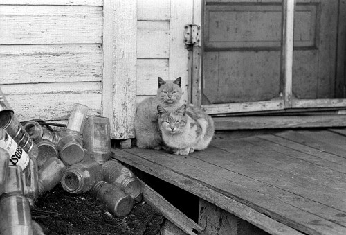 Abandoned house - St Mary Mo c 1966