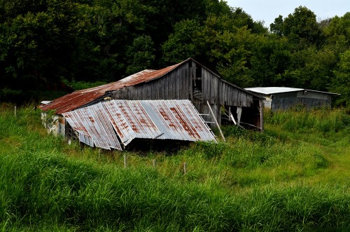 Barn on Hwy 61 w of I-55 -8-09-2015