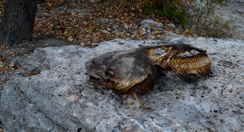 Tower Rock 10-19-2015