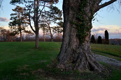 Anna Choate State Hospital 11-18-2015