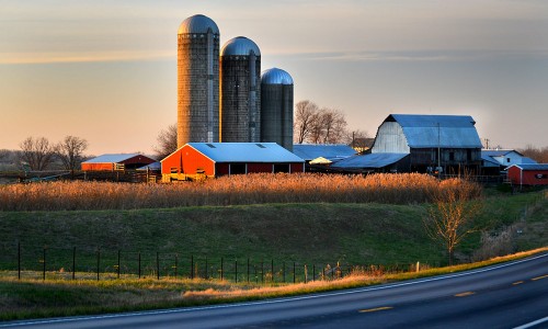 Farm south of Old Appleton 12=07-2015