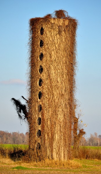 Silo north of Bertrand on NN 0 W Granite Rd 12-05-2015