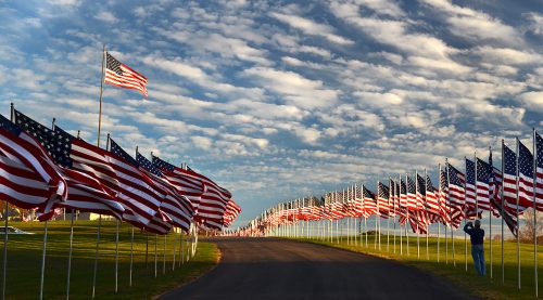 Veterans Day flag display North County Park 11-11-2016