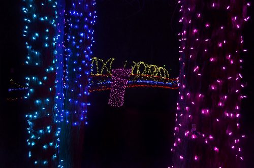 Jackson City Park Xmas 12-10-2016